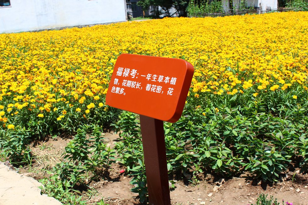 银川全域旅游标识系统材质选择与制作价格表