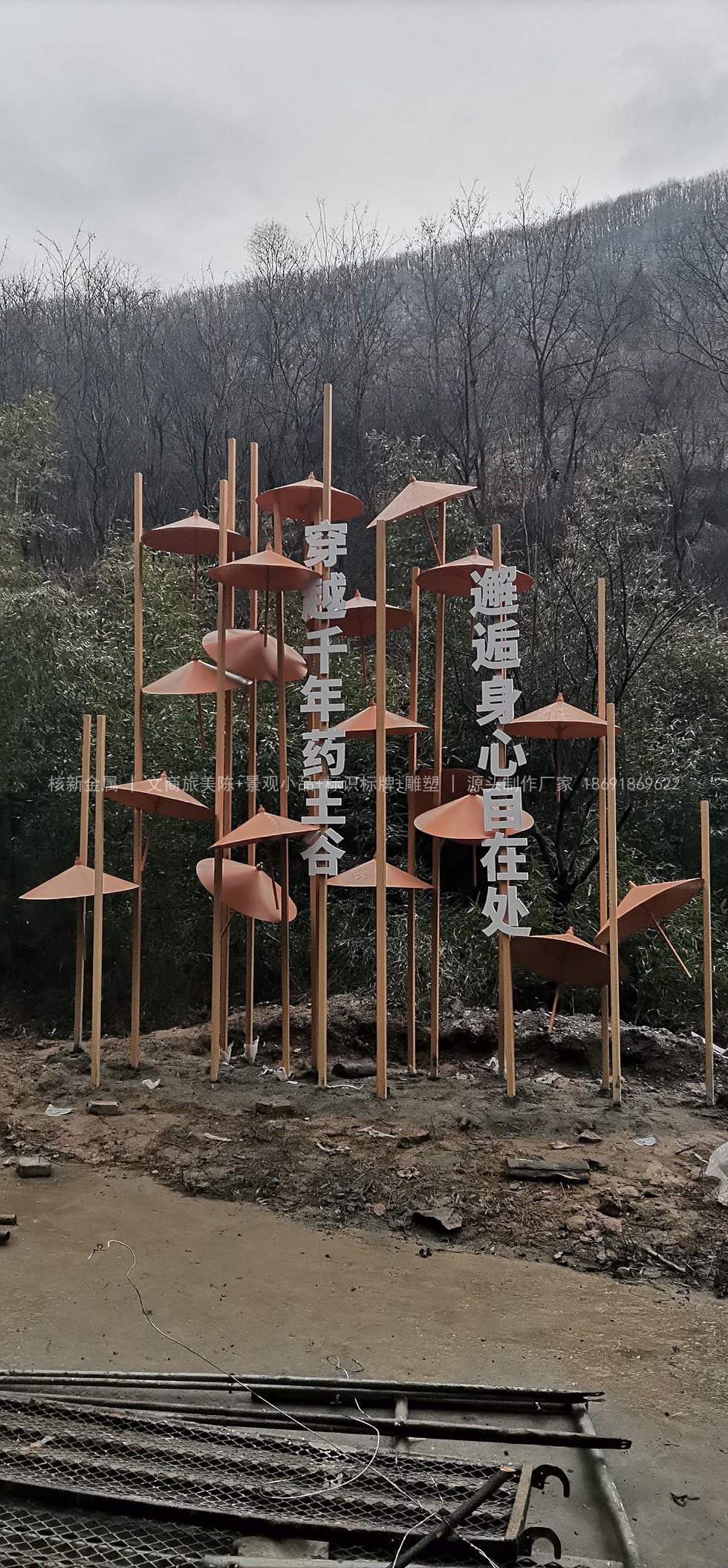 太白山药王谷景区景观小品 实景图（6）